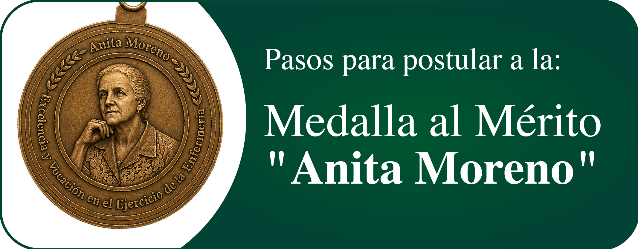 Banner Medalla al Mérito Anita Moreno