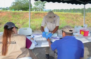 Merca MALARIA
