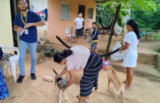 zoonosis en Herrera