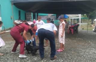 atención veterinaria en albergues en Los Santos