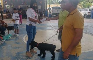 jornada de esterilización Panamá Este