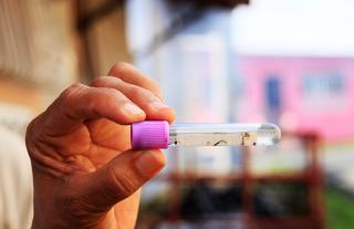 Dengue baja 20.0 % en Panamá, pero Minsa llama a no bajar la guardia