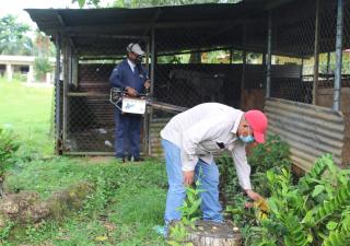 Brindan a Veragüenses recomendaciones para  prevenir el Dengue 