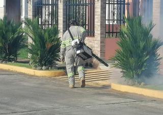 Informe epidemiológico de dengue en la semana número 48