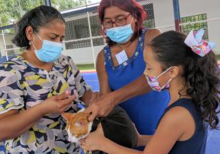 Ofrecen vacunación gratuita a mascotas en Panamá Oeste 