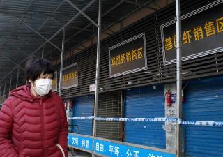 Alerta ante la presencia del coronavirus en la ciudad de Wuhan (China)