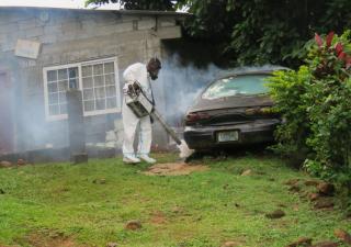 Casos de Dengue confirmados en Panamá Oeste