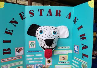 Minsa Chiriquí, realiza feria del bienestar animal