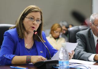Ministra Turner presentó presupuesto MINSA 2020