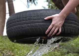Casos de dengue presentan disminución en Chiriquí