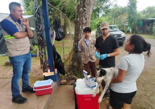 Vigilancia Veterinaria -Soná