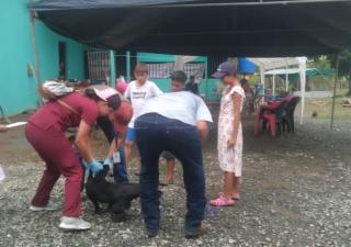 atención veterinaria en albergues en Los Santos