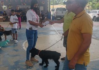 jornada de esterilización Panamá Este