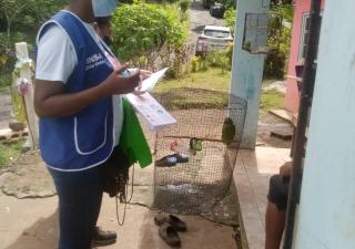 Promoción de Salud en Colón reitera medidas para eliminar criaderos del Aedes Aegypti