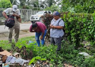 Acciones contra el dengue en Finca #60 Changuinola