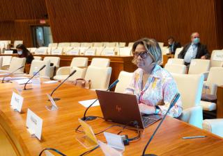 Viceministra de Salud continúa en las sesiones del Comité Ejecutivo de la OPS  