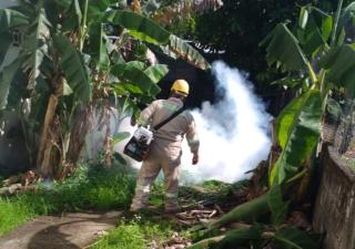 Control de Vectores continua acciones en Bocas del Toro