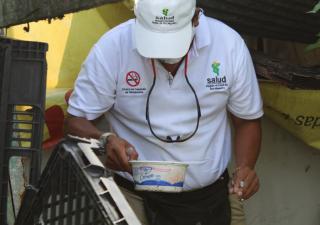 Eliminación de criaderos es la medida clave para prevenir el dengue y otras enfermedades