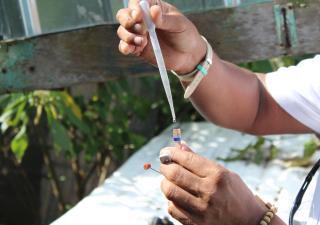 Participación ciudadana es clave para combatir el dengue