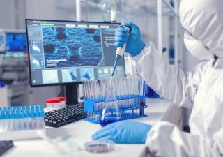 Panamá mantiene vigilancia epidemiológica tras registrarse defunción por gripe aviar en México
