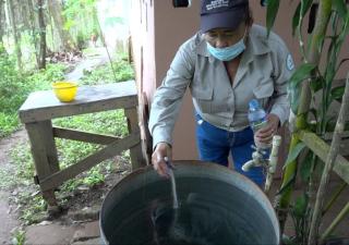 Limpieza, clave para evitar el aumento de los criaderos del mosquito 