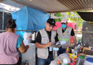Prácticas saludables sobresalieron en los Carnavales de Chiriquí