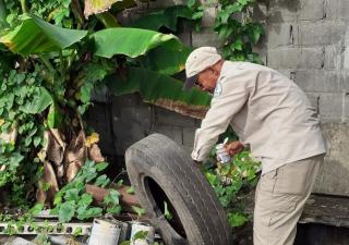 Acciones comunitarias fundamentales para prevenir y combatir el dengue 