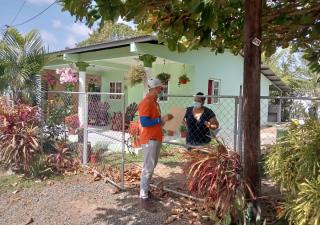 Minsa de Los Santos insta a la población a evitar criaderos de mosquitos 