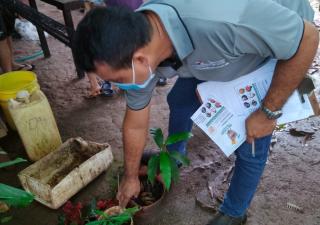 Realizan jornada de prevención del dengue y hantavirus en Pocrí