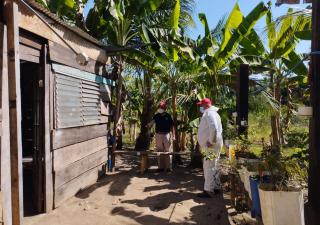 Minsa Chiriquí mantiene seguimiento y vigilancia por casos de Malaria