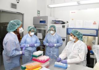  Panamá recibirá 80 mil hisopos este jueves para realizar pruebas de COVID-19