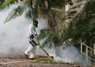  Cifras de dengue han bajado más del 60% en comparación al 2019  