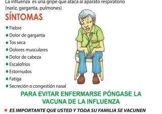 LA INFLUENZA