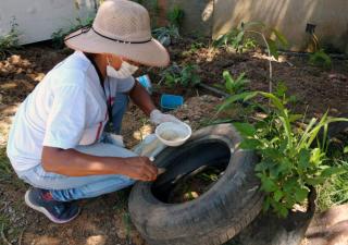 Acciones básicas de limpieza fundamental para prevenir el dengue durante el inicio de la temporada lluviosa