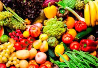 Dia mundial de la alimentación 