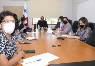 Comité técnico del Minsa se reúne con equipo del Banco Mundial