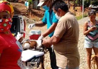 Realizan vacunación de mascotas en Bocas del Toro