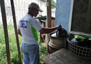 Salud insta a bocatoreños a eliminar criaderos de mosquitos