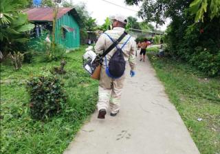 Minsa en Bocas del Toro realiza acciones para contrarrestar el Dengue