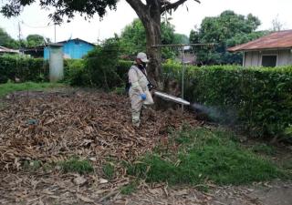 Bocas del Toro continua acciones para erradicar el Dengue
