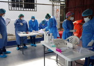 Bocas del Toro busca positivos para trazabilidad