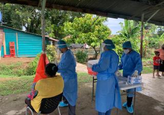 Trazabilidad en Fincas 64 y 66 en Bocas del Toro 