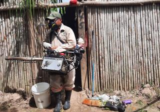 Minsa reitera a bocatoreños eliminar criaderos de Dengue