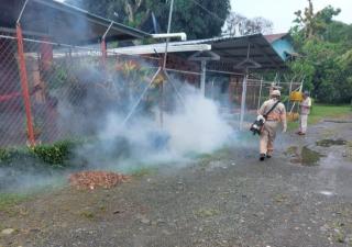 Control de vectores intensifica acciones en Bocas del Toro