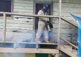 Minsa reitera a los bocatoreños eliminar criaderos del mosquito Aedes Aegypti
