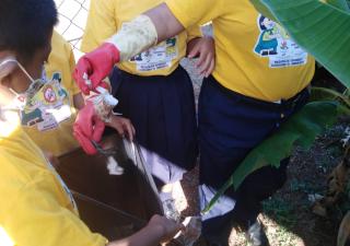Brigada de Cazamosquitos se accionan en corregimiento de Las Lomas