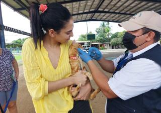 Feria de bienestar animal en Panamá Este