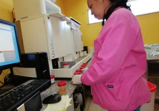 Jornada de exámenes PSA en Chiriquí