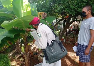 Chiriquí no tiene casos autoctonos de malaria