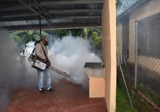 Autoridades preocupadas por alto nivel de infestación de dengue en Pedregal, Chiriquí